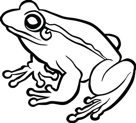 black and white clipart frog